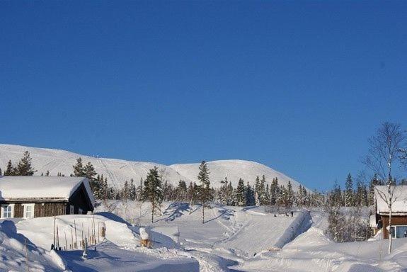 Håvi Solsiden Trysil en koselig hytte - ski in og ski out Eksteriør bilde